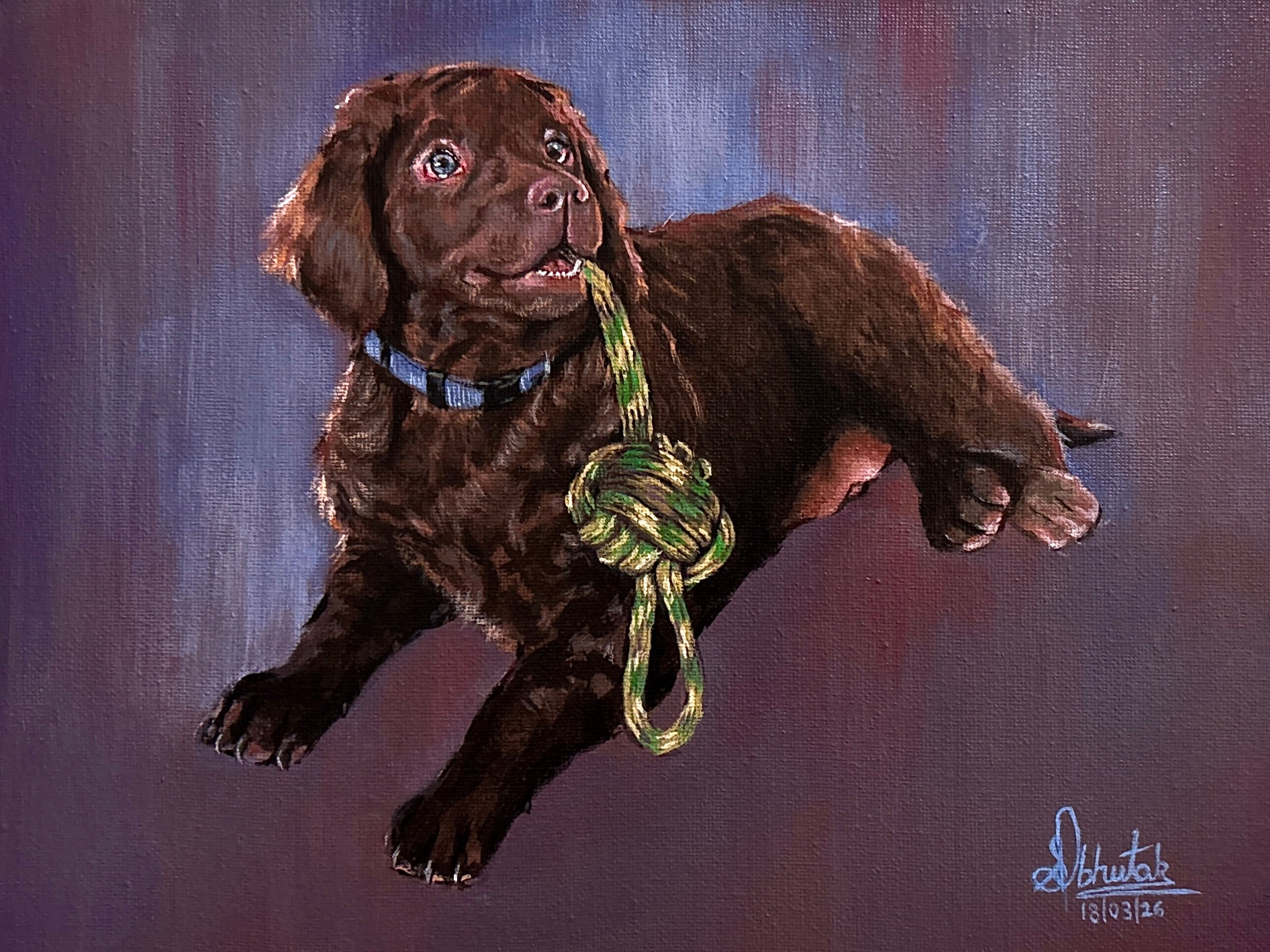 Custom Animal Portrait Canvas